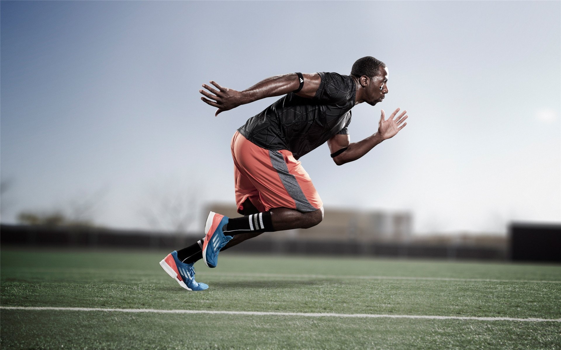 TL引入欧洲新星引关注